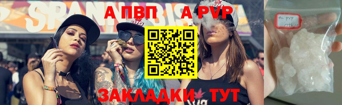 Альфа ПВП СК Новокузнецк