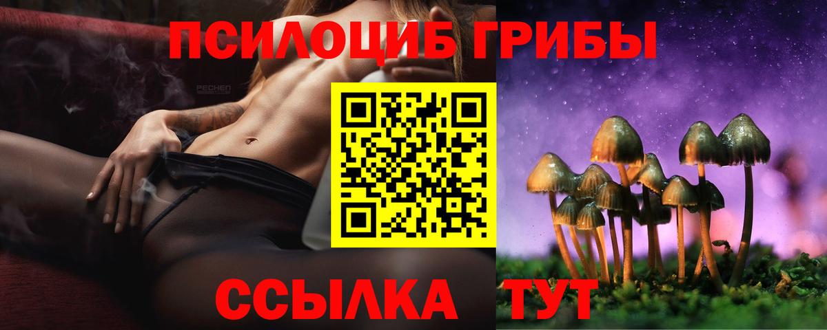 Новокузнецк  Псилоцибиновые грибы ЛСД  Вход с VPN 